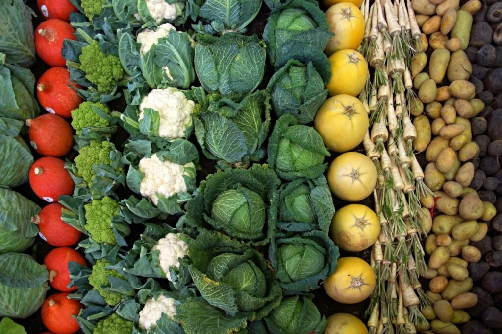 Food and Beverage Industry